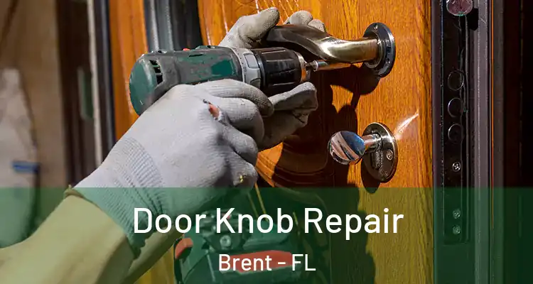  Door Knob Repair Brent - FL