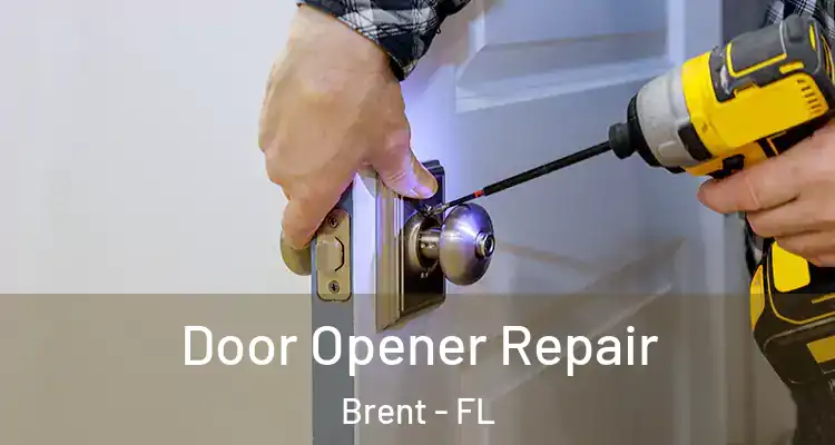  Door Opener Repair Brent - FL