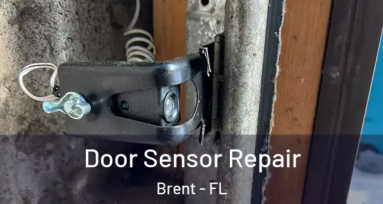  Door Sensor Repair Brent - FL