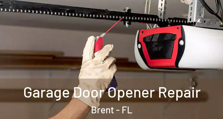  Garage Door Opener Repair Brent - FL