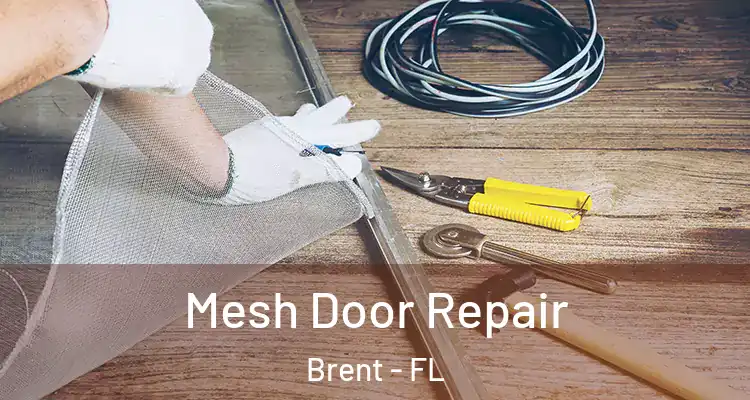 Mesh Door Repair Brent - FL