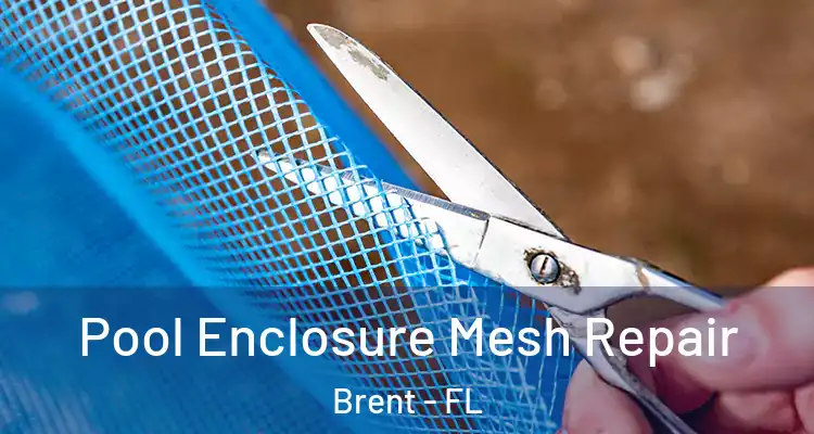  Pool Enclosure Mesh Repair Brent - FL
