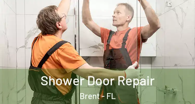  Shower Door Repair Brent - FL