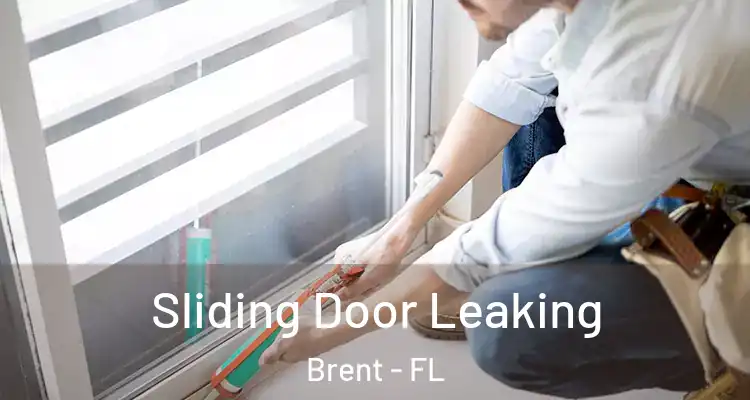  Sliding Door Leaking Brent - FL