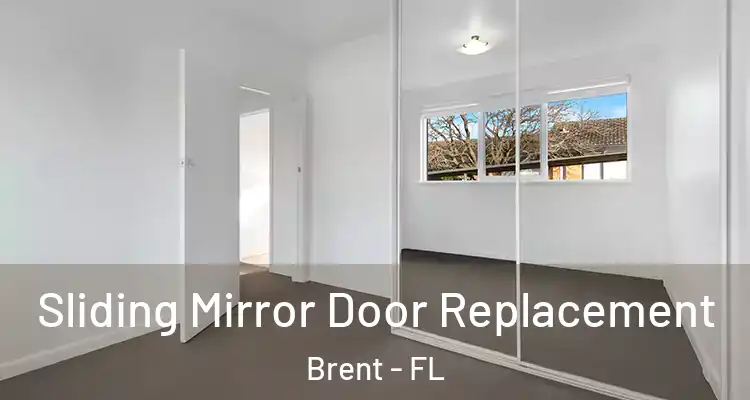  Sliding Mirror Door Replacement Brent - FL