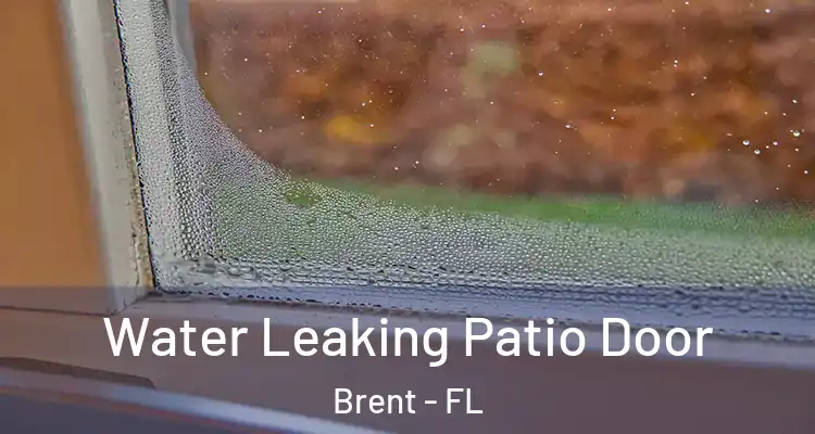  Water Leaking Patio Door Brent - FL